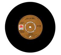 Carpenters - Top Of The World / Your Wonderful Parade - [7"]