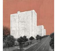 CARPET - ABOUT ROOMS AND ELEPHANTS