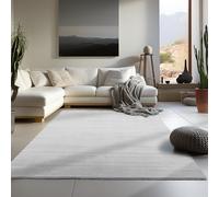 Carpetsale24 Tappeto per Soggiorno 140x200 cm Argento Lavabile, Pelo Corto, Design Moderno, Monocromatico - Tappeto Lavabile Antiscivolo Extra Morbido e Fluffy per Camera da Letto, Cucina