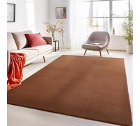 Carpetsale24 Tappeto per Soggiorno 200x290 cm Marrone Lavabile, Pelo Corto, Design Moderno, Monocromatico - Tappeto Lavabile Antiscivolo Extra Morbido e Fluffy per Camera da Letto, Cucina