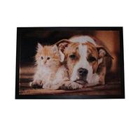 Carpido Lisa di Design Cane + Gatto Zerbino, Fibra Sintetica, Multicolore, 40 x 60 x 0,6 cm