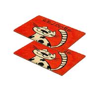 Carpido Zerbino in cocco per gatti-zerbino 40x60 cm Set di 2-zerbino d'ingresso antibatterico-zerbino in cocco naturale-100% cocco