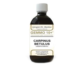CARPINO BI 500ML ANALCO GEM10+