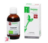 CARPINO MACERATO GLICERICO 50 ML BIO