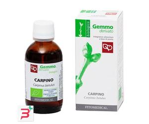 CARPINO MACERATO GLICERICO 50 ML BIO