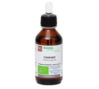 Carpino macerato glicerico bio fitomedical 100ml
