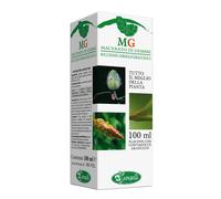 CARPINO 100ML MG