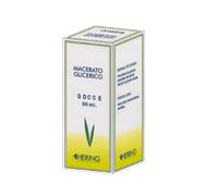 Carpinus Betulus Gemme 60ml Mg