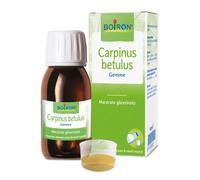 Carpinus betulus macerato glicerico boiron 60ml