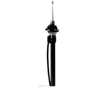 CARPOINT 2010016 Antenna autoradio