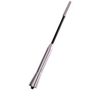 CARPOINT 2010047 Antenna autoradio
