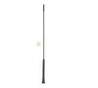 CARPOINT 2010056 Antenna autoradio