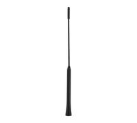 CARPOINT 2010057 Antenna autoradio