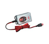 Carpoint Caricabatteria BX-4M 6V/12V 1 Ampere