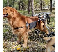 Carrellino Cane Disabile Grande per Cani di Taglia Grande, Carrello Cani Disabili Pet Sedia a Rotelle, Zampe Posteriori di Riabilitazione, Cane Carrello, Ruote (Size : Large 2)