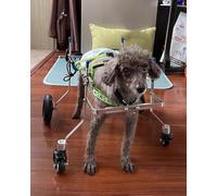 Carrello Cani Disabili Carrozzine per Cani con Artrite, Carrello per Cani Regolabile con 4 Ruote, Veicolo per Esercizi con Supporto Completo, per Animali Feriti, Disabili, Deboli con Arti Posteriori(X