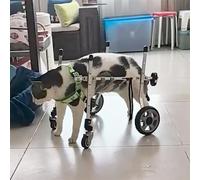 Carrello Cani Disabili Xxs/ Xs/ S Carrozzina per Gatti per Zampe Posteriori, Quattro Ruote Ausili per La Mobilità per Artrite Canina per Riabilitazione, Carrello Portatile per Tutore per Gamba Debole(