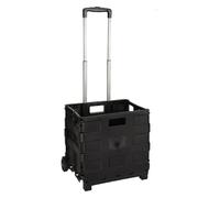 CARRELLO CESTA MULTIUSO PIEGHEVOLE portata 18 kg