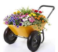 Carrello con 2-4 ruote, carriola, carrello ribaltabile per cortile e
