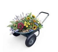 Carrello con 2-4 ruote, carriola, carrello ribaltabile per cortile e