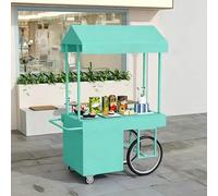 Carrello da mercato mobile con tenda e ampio ripostiglio | Per venditori ambulanti, cibo da strada, fiere ed eventi all’aperto(Mint Green,120*200cm/47.2*78.7in)