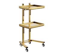 Carrello da salone con vassoio portaoggetti a 2 ripiani per bellezza, capelli, tatuaggi, spa, clinica