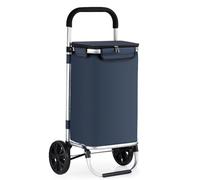 Carrello della spesa con ruote, Carrello della spesa in alluminio, grande capacità 40 kg, 45 l, con 2/6 ruote(A:blue,2 Wheels)