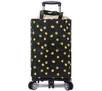 Carrello della spesa con ruote, Carrello della spesa pieghevole in alluminio su 5 ruote - Sali le scale, borsa termica isolata(4)