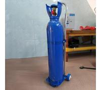 Carrello for bombole di ossigeno, carrello for bombole di ossigeno portatile, supporto for bombole di ossigeno for case di cura/cliniche/laboratori scolastici(H110cm(43 1/4"))
