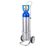 Carrello For Bombole Di Ossigeno Portatile Con Ruote, Carrello For Bombole Di Ossigeno, Ripiano Portaoggetti In Acciaio Resistente For Bombole Di Gas, Carrello(15.8cm (6 1/5in))