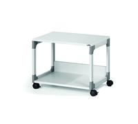Mobilecarrello Multifunzione System 48 - 60x43,2x47,7 cm - 2 ripiani - con ruote - grigio - Durable