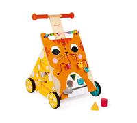 Carrello Multi-attività Primi Passi Evolutivo Gatto