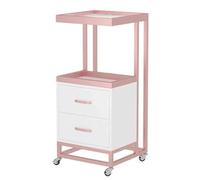 Carrello Parrucchiere Estetista Carrello Da Salone A 2 Livelli Con Cassetti Di Stoccaggio In Metallo Portaoggetti Bellezza Utilità Domicilio Mobile(Rose Gold+White)