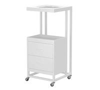Carrello Parrucchiere Estetista Carrello Da Salone A 2 Livelli Con Cassetti Di Stoccaggio In Metallo Portaoggetti Bellezza Utilità Domicilio Mobile(White)