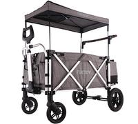 Carrello per bambini pieghevole e da trasporto deluxe FUXTEC FX-CTL900 (colore: Grigio premium)