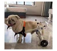Carrello per cani, Sedia a rotelle for cani for zampe posteriori paralizzate, tutore di supporto for gamba posteriore for cane anca for il recupero degli arti(Red,XS(Widen))