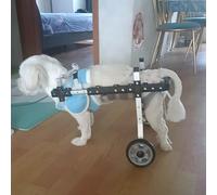 Carrello per cani, sedia a rotelle, leggera e regolabile, per cani di piccola taglia, perfetta per bassotti e animali domestici con problemi di mobilità, supporta 9-23 kg, migliora la mobilità, il