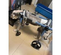 Carrello per la mobilità del cane a 4 ruote, carrello per la mobilità dei cani disabili, leggero, per zampe posteriori/zampe anteriori, supporto per passeggiate con cani feriti (blu, S)