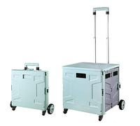 Carrello per la spesa pieghevole con coperchio, 55 l, portatile, con manico telescopico e ruote, freno a pedale, perfetto per generi alimentari e attività all'aperto (grigio e verde)