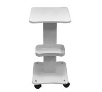 Carrello per saloni di bellezza con vassoio portaoggetti, organizer portatile per forniture da salone, ideale per servizi di bellezza mobili