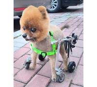 Carrello per sedia a rotelle per cani di taglia piccola e media, supporto a quattro ruote per bassotto e gatti, ruote per esercizi per cani attivi (taglia M), migliora la mobilità e la libertà