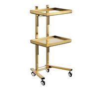 Carrello pieghevole a 2 livelli in acciaio inox con vassoio for salone di bellezza, camera da letto, negozio tatuaggi, barbiere(Gold)