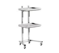 Carrello pieghevole a 2 livelli in acciaio inox con vassoio for salone di bellezza, camera da letto, negozio tatuaggi, barbiere(Silver)