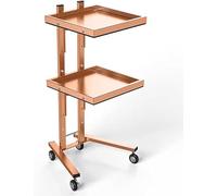 Carrello pieghevole a 2 ripiani, con ruote, per estetisti, spa e professionisti della bellezza, soluzione di archiviazione mobile per un facile accesso e nizzazione