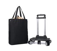 Carrello pieghevole in alluminio per salire le scale, con borsa termica, capacità 20 kg, 5 ruote per un facile trasporto e stoccaggio, ideale per la spesa per tutte le età