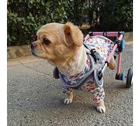 Carrello pieghevole per animali domestici, sedia a rotelle per cani e gatti, aiuto per camminare con pneumatici per tutti i terreni aggiornati, carrelli per riabilitazione