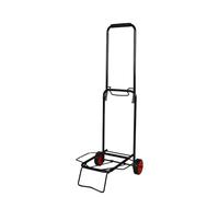 CARRELLO PORTA TUTTO PORTA VALIGIA PACCHI SPESA COMODO LEGGERO 40 KG