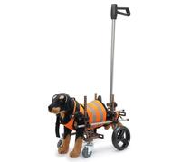 Carrello regolabile a quattro ruote per cani paralizzati, supporto per riabilitazione delle gambe anteriori e posteriori, aiuto per la deambulazione assistita per il recupero del cane