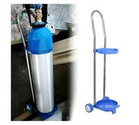 Carrello regolabile in acciaio per bombola del gas per casa, scuola, ospedale, 80-110 cm, con 2 ruote, supporto per cilindro per interni ed esterni (80 cm, 10 L)