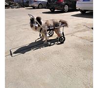 Carrello Regolabile per la Riabilitazione delle Zampa Anteriore Zampe Posteriori di Cani e Cuccioli, Imbracatura Cane Supporto per Cani Anziani Feriti Disabili, Sedia a Rotelle 4 Ruote, 1~6kg